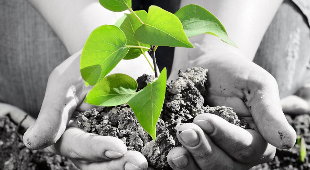 How Reiki Supports Fertility: Nervous System Healing, Stress Reduction, and Hormonal Balance