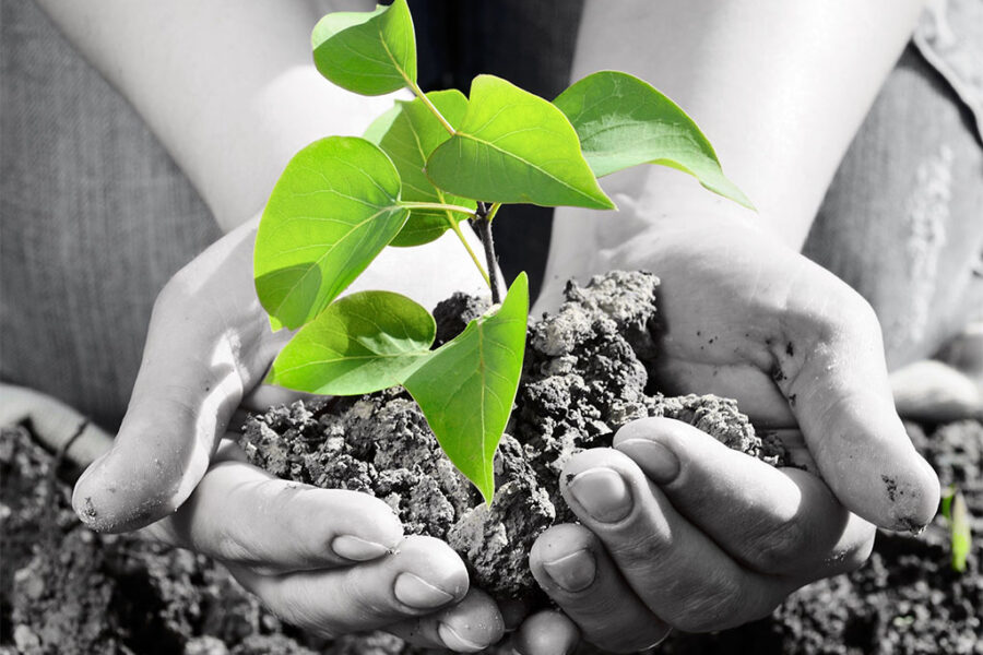 How Reiki Supports Fertility: Nervous System Healing, Stress Reduction, and Hormonal Balance