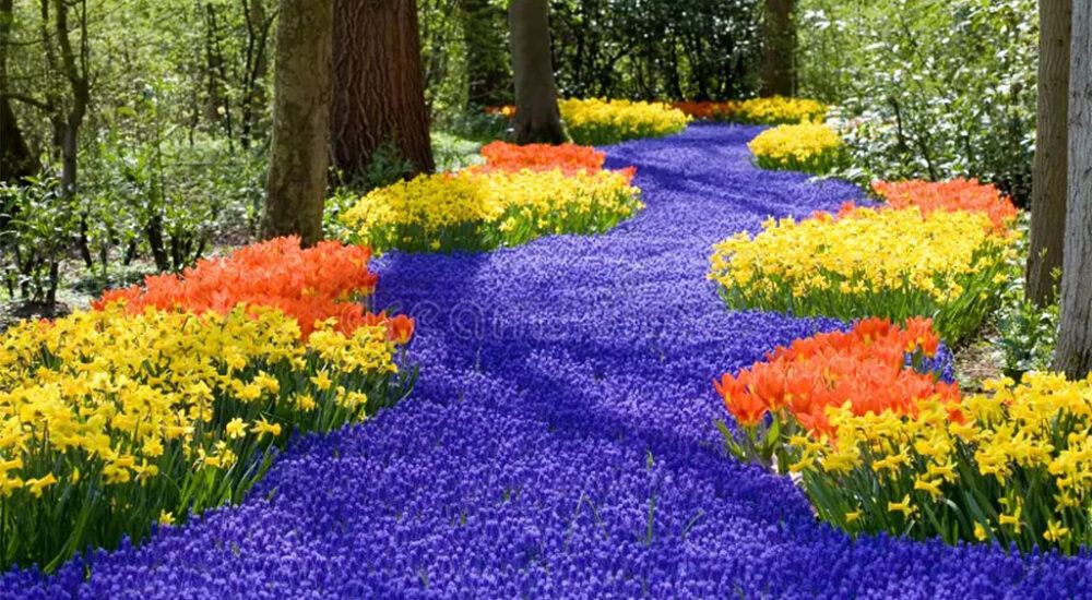 When You No Longer Fear Losing Life