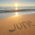 June Reflections & Upcoming Opportunities